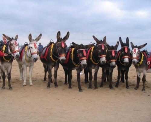 The Sherwood Skegness Bagian luar foto